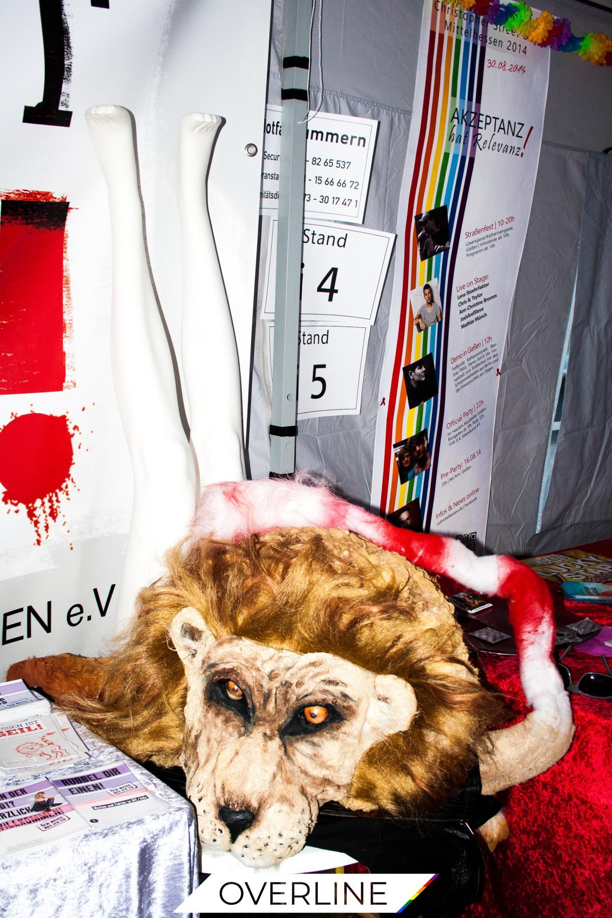 CSD Frankfurt 18.07.2014 | Bild 10