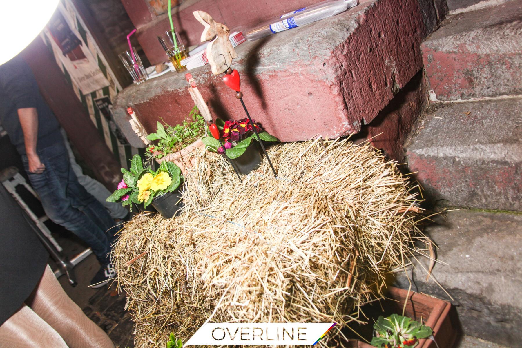 Love Factory 09.04.2016 | Bild 5