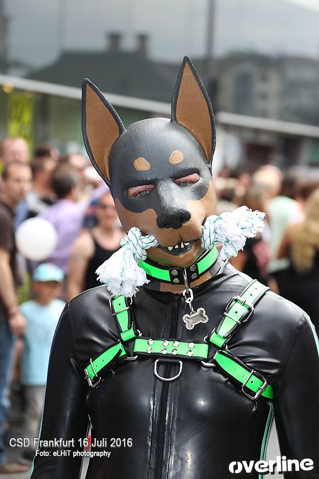 CSD Frankfurt Demo 16.07.2016 | Bild 584