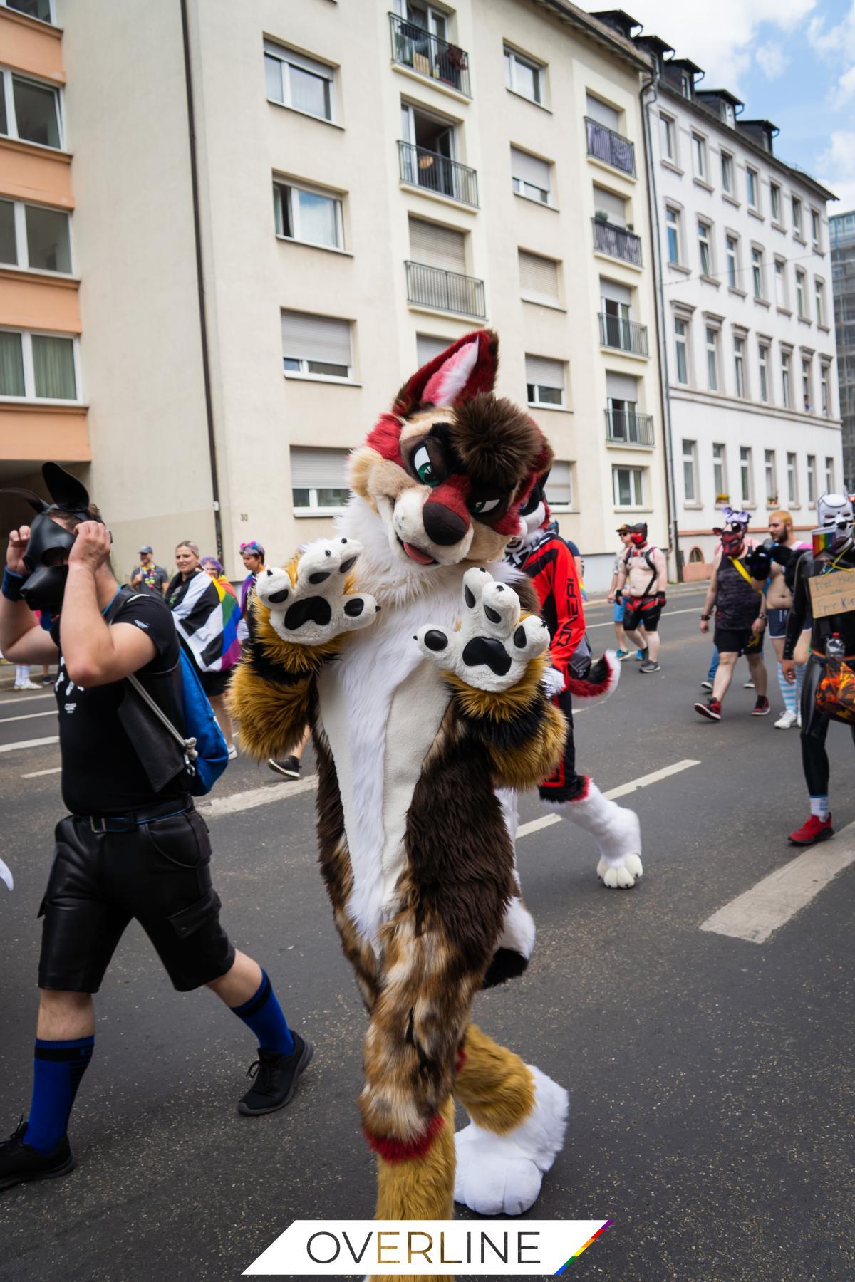 CSD Frankfurt 16.07.2022 | Bild 141