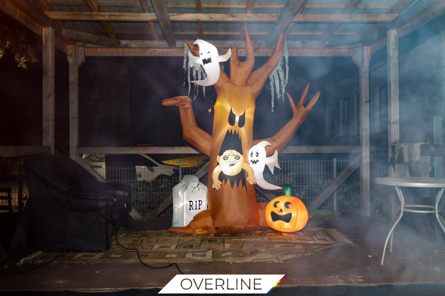 QueerVibes Night  18.10.2025 | Bild 2